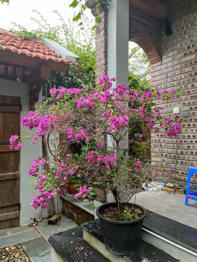 Duong Lam Village Son Tay Ngoại thất bức ảnh
